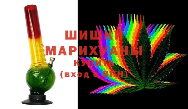 прущие грибы Кодинск