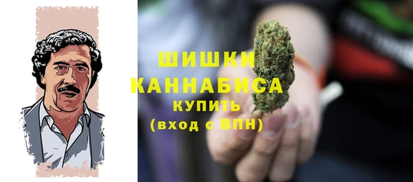 прущие грибы Кодинск