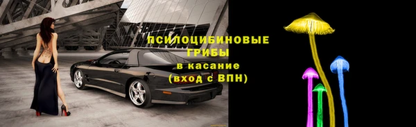 СК Козловка