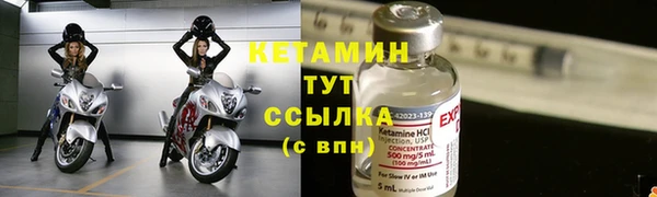 прущие грибы Кодинск