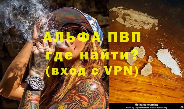 прущие грибы Кодинск