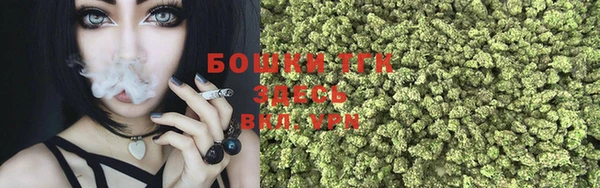 прущие грибы Кодинск