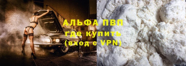 прущие грибы Кодинск