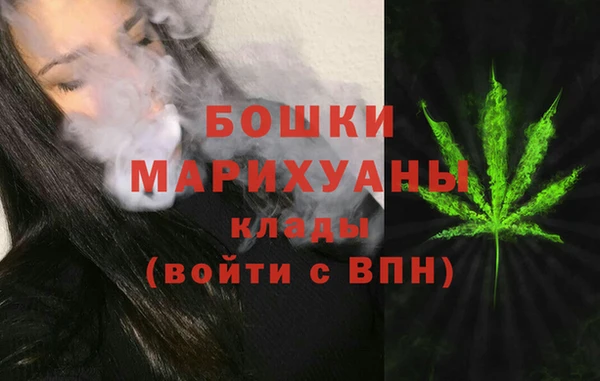 прущие грибы Кодинск